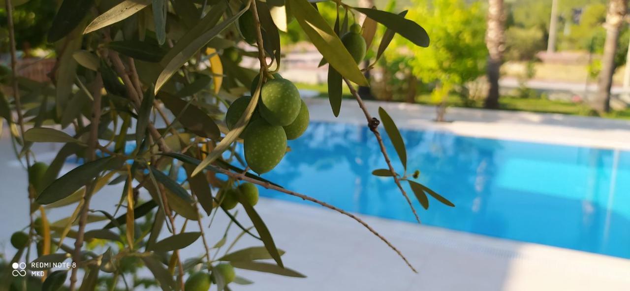 Green Garden Otel 凯梅尔 外观 照片