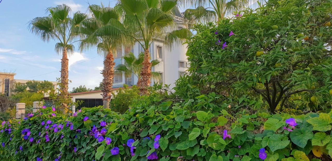 Green Garden Otel 凯梅尔 外观 照片